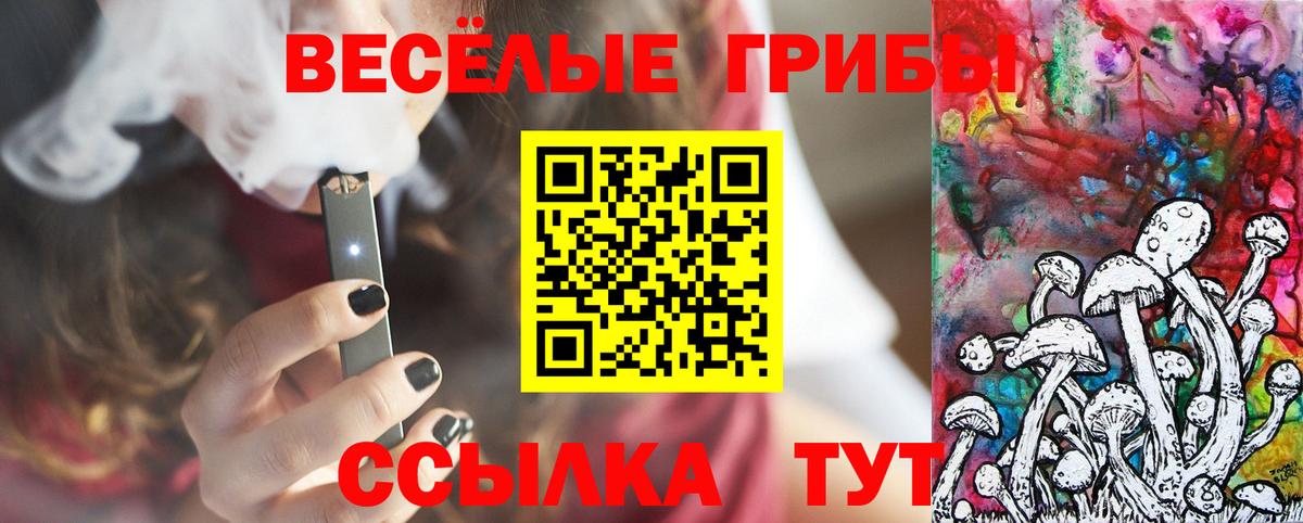 Чебаркуль  Псилоцибиновые грибы GOLDEN TEACHER  где найти наркотики  Вход с VPN 