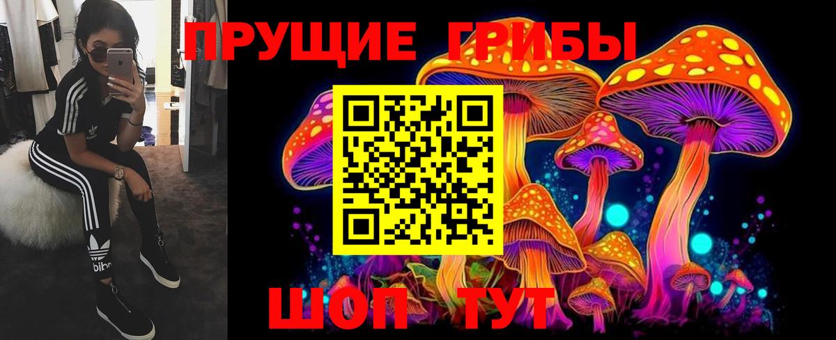 Псилоцибиновые грибы GOLDEN TEACHER Чебаркуль